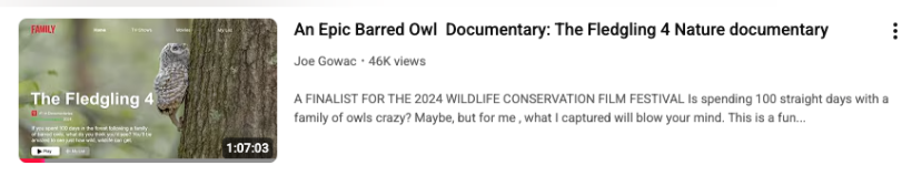 Barred Owl Documentary